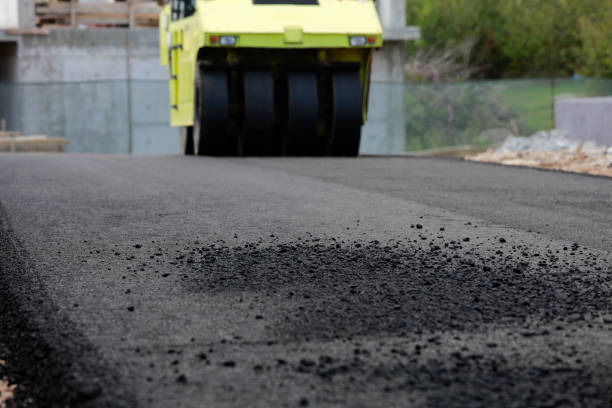 Best Local Driveway Pavers  in Casselton, ND