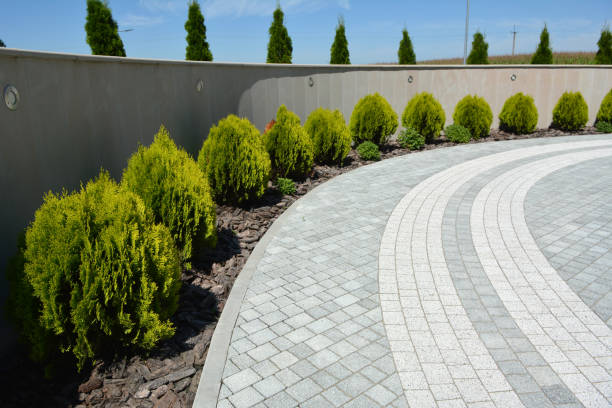 Best Driveway Paving Company  in Casselton, ND
